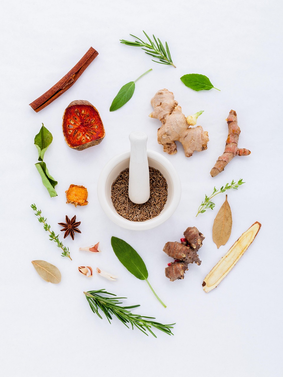 学做传统美食手抄报